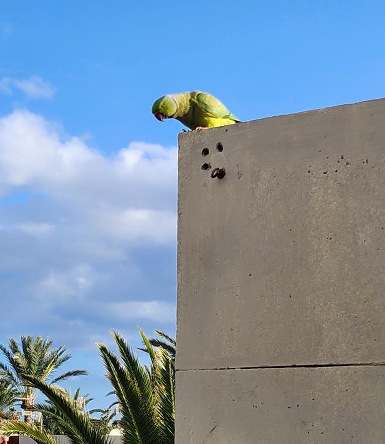 코스타델실렌시오 Casa De Mariposas 아파트 외부 사진