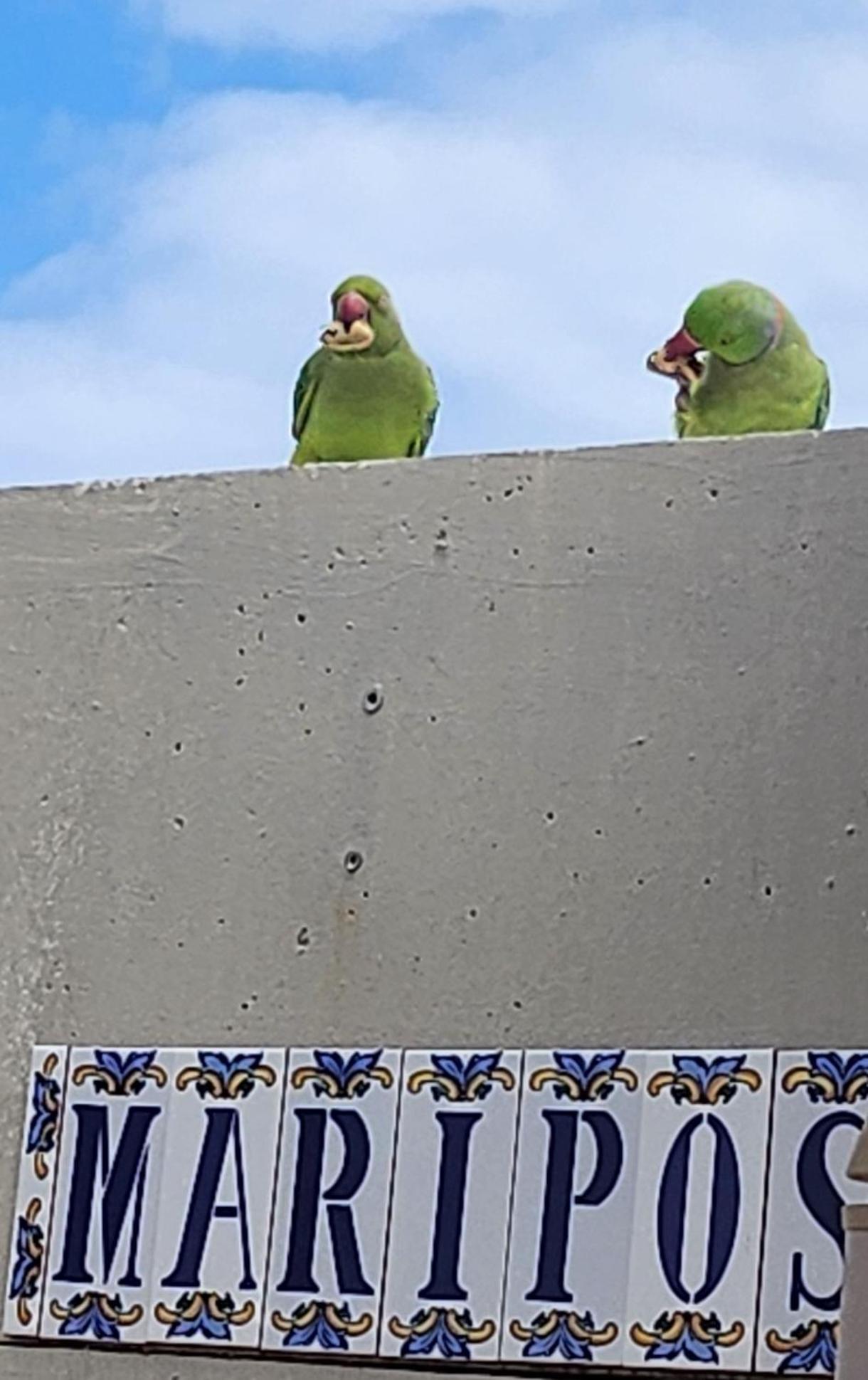 코스타델실렌시오 Casa De Mariposas 아파트 외부 사진